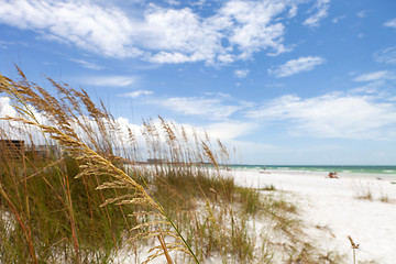 Image showing Siesta Key Beach Sarasota Florida