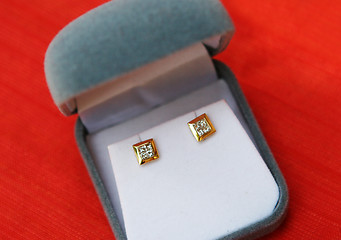 Image showing Earrings