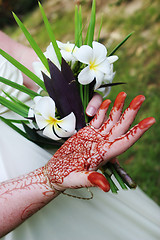 Image showing Woman's hand with henna design and fragapani bouquet