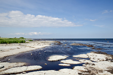 Image showing Flat rock coast