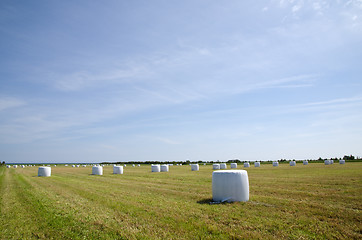 Image showing Plastic bales