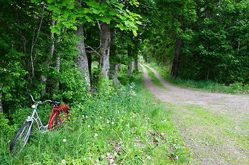 Image showing Parked bicycle