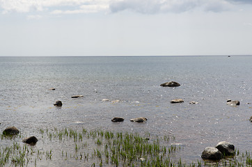 Image showing Glittering coast