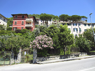 Image showing Bogliasco, Italy