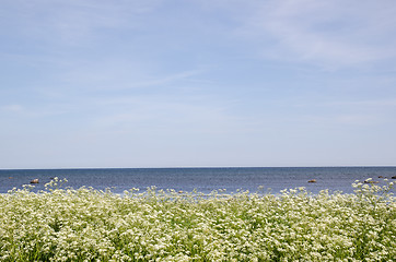 Image showing Bright  coastline