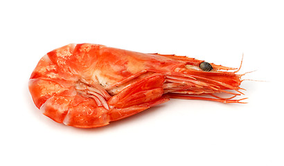 Image showing Shrimp