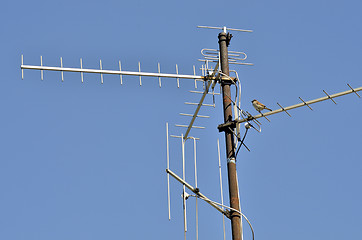 Image showing TV Antenna