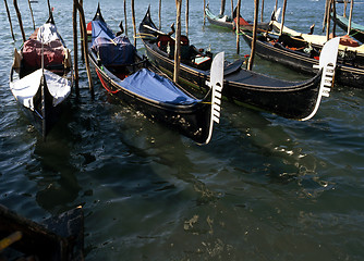 Image showing Gondolas, Venice, Italy