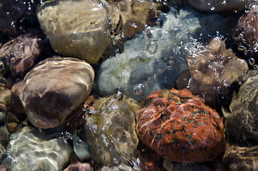 Image showing Stones in clear water