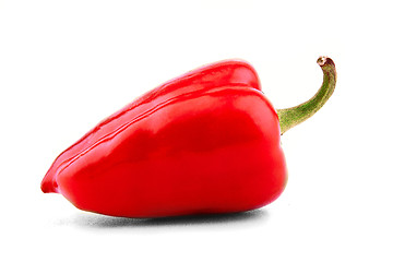 Image showing Red bell pepper on white