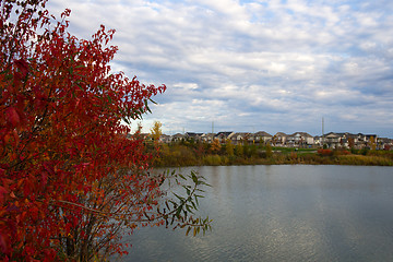 Image showing Colorful autumn trees in a suburb area