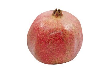 Image showing Pomegranate