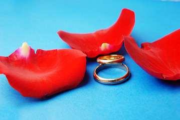 Image showing Wedding rings and rose petals