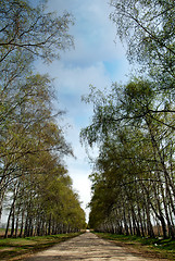 Image showing Road to summer