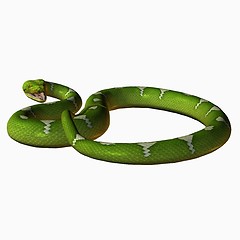 Image showing Python