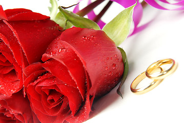 Image showing Roses and wedding rings