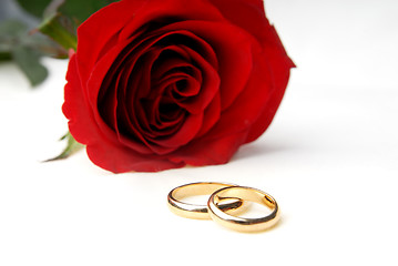 Image showing One rose and two wedding rings