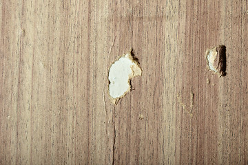 Image showing Torn wooden wallpaper