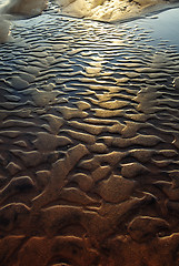 Image showing Golden beauty of the beach