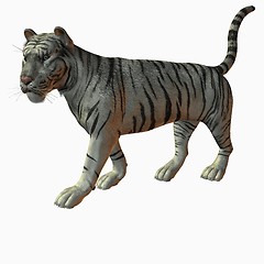 Image showing White Tiger