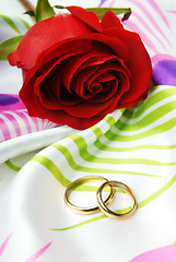 Image showing Red rose and golden rings