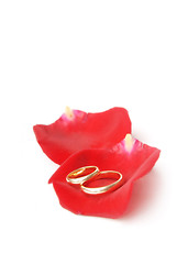 Image showing Wedding rings and rose petals