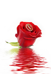 Image showing Rose and rings on a water