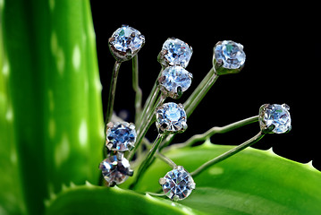 Image showing Diamonds on greenery