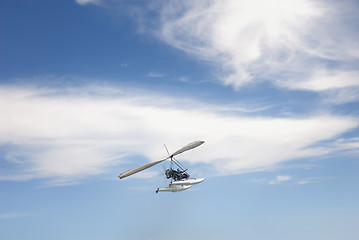 Image showing Freedom in the sky