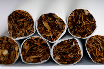 Image showing Tobacco