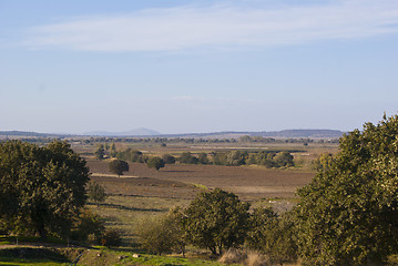 Image showing Autumn fields