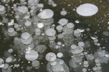 Image showing Ice bubbles