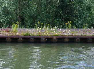 Image showing Flowers lining a concrete riverbank