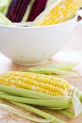 Image showing Fresh corn