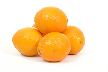 Image showing Pile of oranges