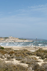 Image showing Fuerteventura