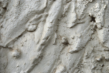 Image showing Loam Wall