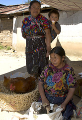 Image showing guatemala indian women vendors