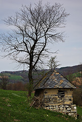 Image showing Old House