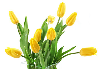 Image showing yellow tulips