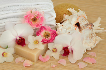 Image showing Floral Spa Treatment