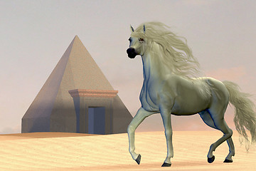 Image showing Arabian Horse