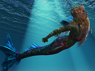 Image showing Mermaid of the Sea