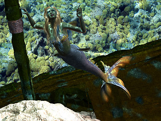 Image showing Under the Sea Mermaid