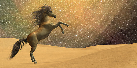 Image showing Wilderness Horse