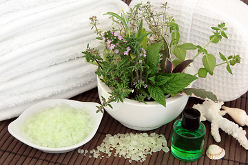 Image showing Herbal Spa Treatment