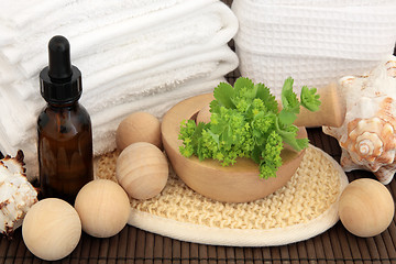 Image showing Ladies Mantle Spa Treatment