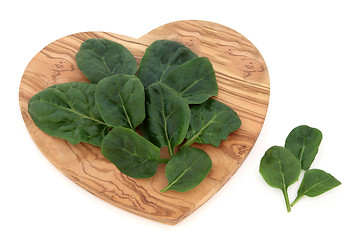 Image showing Spinach Leaves