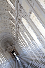 Image showing Italy - Royal Palace: Galleria di Diana, Venaria