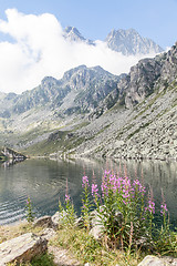 Image showing Alpine lake